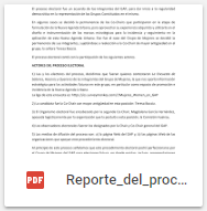 Reporte_del_proceso_electoral_WPCG-GAP_br.pdf 